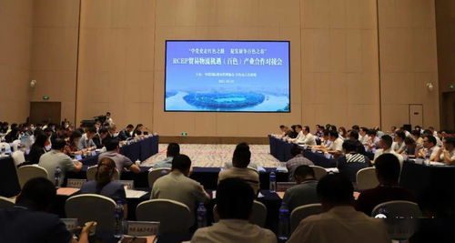 对接RCEP新机遇，共谋贸易物流新篇章——中国国际货运代理协会考察团赴我市开展产业合作对接