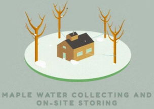 枫树汁进口全链路解析 从海外源头到互联网终端的成功之道