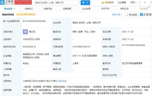 国内贸易代理 连接生产与消费的专业桥梁